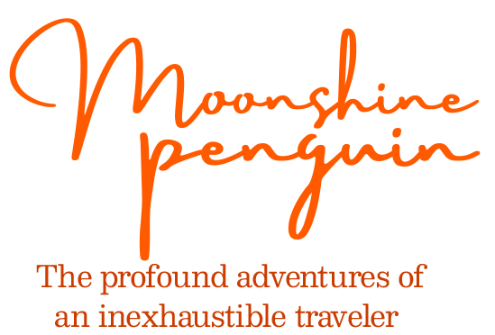 Moonshine Penguin